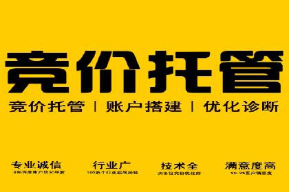 竞价托管案例：精准定位，提升转化率